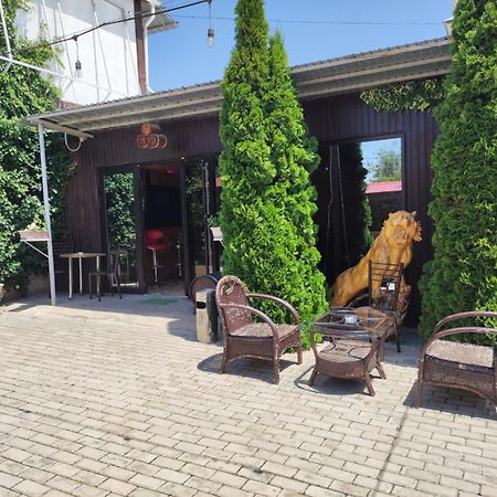 В Гостях На Иссык-Куле Hotel Cholpon-Ata Eksteriør billede